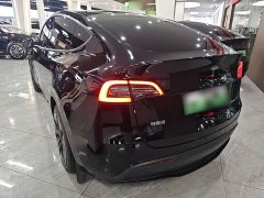 Tesla Model Y Rear-Wheel Drive - ფოტო 5
