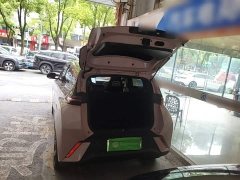 BYD Seagull Flying Edition - ფოტო 19