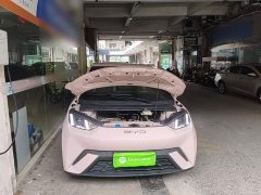 BYD Seagull Flying Edition - ფოტო 20