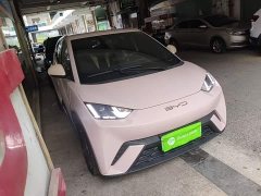 BYD Seagull Flying Edition - ფოტო 4