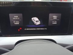 Volkswagen Lingdu 2026 Lingdu L GTS 380TSI Lingfeng Million Anniversary Edition - ფოტო 12