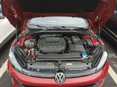 Volkswagen Lingdu 2026 Lingdu L GTS 380TSI Lingfeng Million Anniversary Edition - ფოტო 20