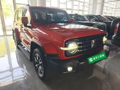 Tank 300 2021 City Edition 2.0T Stylish - ფოტო 4
