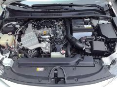 Toyota Corolla 1.8L CVT Luxury - ფოტო 20