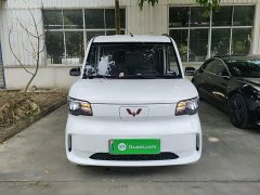 Wuling Zhiguang New Energy 201km Comfort - ფოტო 3