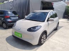 Wuling Binguo 333km Joy Edition - ფოტო 1