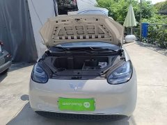 Wuling Binguo 333km Joy Edition - ფოტო 16