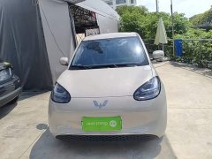 Wuling Binguo 333km Joy Edition - ფოტო 3