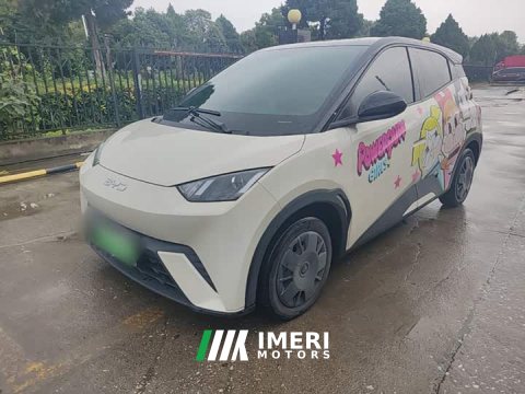 2024 BYD Seagull Glory Edition 305km Vitality Version - ავტომობილი ჩინეთიდან