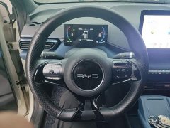 BYD Seagull Glory Edition 305km Vitality Version - ფოტო 11
