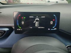 BYD Seagull Glory Edition 305km Vitality Version - ფოტო 12