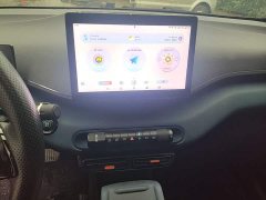 BYD Seagull Glory Edition 305km Vitality Version - ფოტო 13