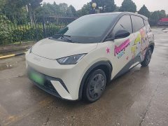 BYD Seagull Glory Edition 305km Vitality Version - ფოტო 2