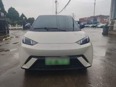 BYD Seagull Glory Edition 305km Vitality Version - ფოტო 3