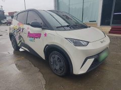 BYD Seagull Glory Edition 305km Vitality Version - ფოტო 4