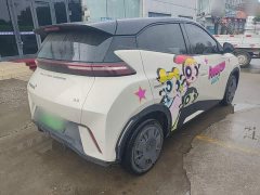 BYD Seagull Glory Edition 305km Vitality Version - ფოტო 7