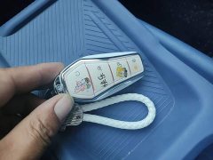 BYD Seagull Glory Edition 305km Vitality Version - ფოტო 9