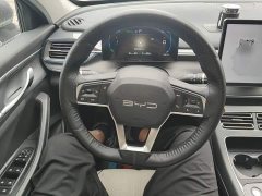 BYD Destroyer 05 Glory Edition DM-i 55KM Luxury - ფოტო 11