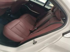 BMW 3 Series 320Li M Sport Package - ფოტო 17