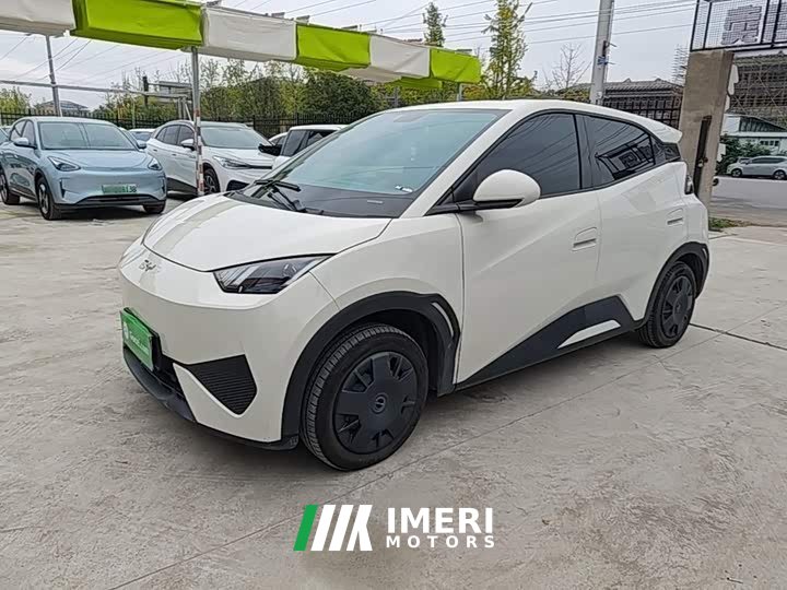BYD Seagull 305km Vitality Edition - ავტომობილი ჩინეთიდან