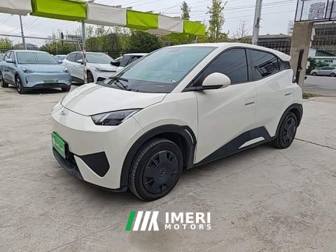 2025 BYD Seagull 305km Vitality Edition - ავტომობილი ჩინეთიდან