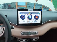 BYD Seagull 305km Vitality Edition - ფოტო 13