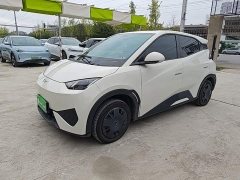 BYD Seagull 305km Vitality Edition - ფოტო 2