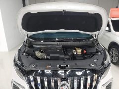 Buick GL8 ES Luxe 653T Comfort - ფოტო 20