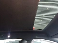 BYD Dolphin 650 Smart Drive Edition - ფოტო 14