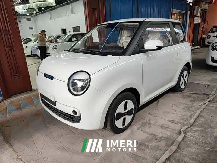 Changan Lumin Treasure Edition 205km Cool Love White CATL - ავტომობილი ჩინეთიდან