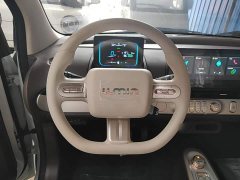 Changan Lumin Treasure Edition 205km Cool Love White CATL - ფოტო 11