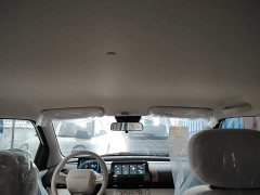 Changan Lumin Treasure Edition 205km Cool Love White CATL - ფოტო 18