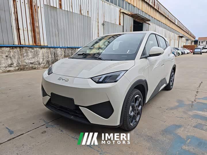 BYD Seagull Smart Drive 405km Freedom Edition