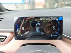 BYD Seagull 2025 Smart Drive 405km Freedom Edition - ფოტო 12