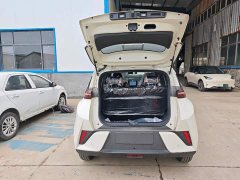 BYD Seagull 2025 Smart Drive 405km Freedom Edition - ფოტო 19
