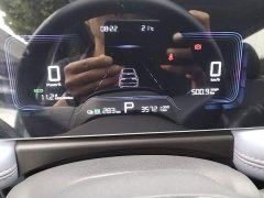 Geely Geometry E Firefly 401KM Linglong Tiger 5-Seater - ფოტო 12