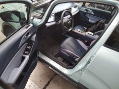 Geely Geometry E Firefly 401KM Linglong Tiger 5-Seater - ფოტო 16