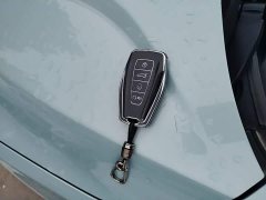 Geely Geometry E Firefly 401KM Linglong Tiger 5-Seater - ფოტო 9