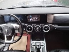 Tank 300 Off-Road Edition 2.0T Conqueror - ფოტო 10