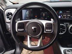 Tank 300 Off-Road Edition 2.0T Conqueror - ფოტო 11