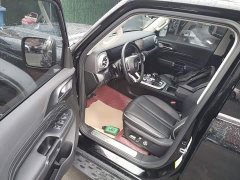 Tank 300 Off-Road Edition 2.0T Conqueror - ფოტო 16