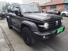 Tank 300 Off-Road Edition 2.0T Conqueror - ფოტო 4