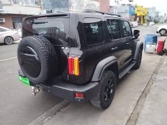 Tank 300 Off-Road Edition 2.0T Conqueror - ფოტო 7