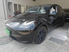 Tesla Model Y Rear-Wheel Drive - ფოტო 1