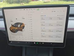 Tesla Model Y Rear-Wheel Drive - ფოტო 12