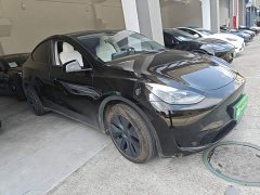 Tesla Model Y Rear-Wheel Drive - ფოტო 4