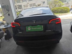 Tesla Model Y Rear-Wheel Drive - ფოტო 6