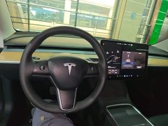 Tesla Model 3 Standard Range RWD Upgrade 3D6 - ფოტო 10