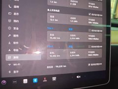 Tesla Model 3 Standard Range RWD Upgrade 3D6 - ფოტო 12