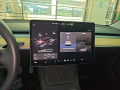 Tesla Model 3 Standard Range RWD Upgrade 3D6 - ფოტო 13